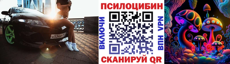 закладка kraken как зайти Псилоцибиновые грибы мицелий Сосенский